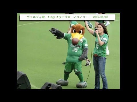 ヴェルディ君 AlegriA ライブ中 ノリノリ！！ 20160503