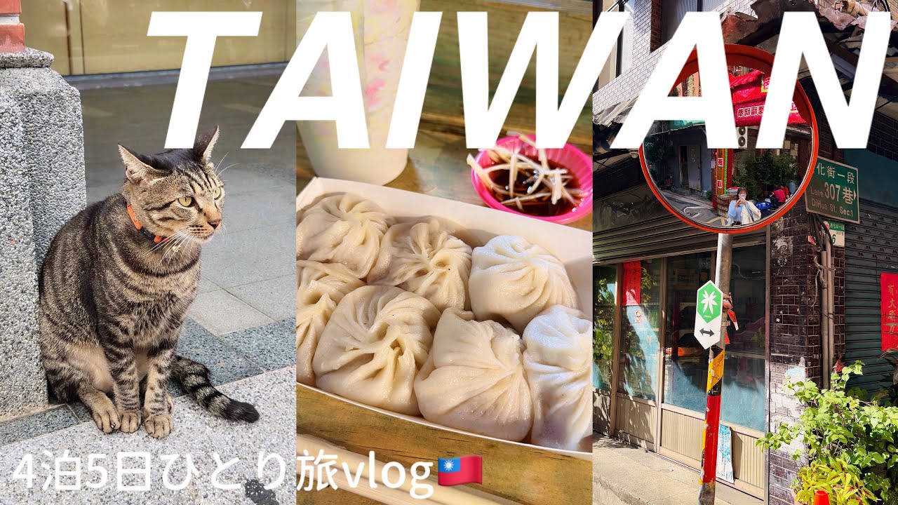 【台湾Vlog】台北ひとり旅🇹🇼❷ 台湾カフェと跳石海岸へ｜台湾人と巡るローカル店 4泊5日台湾旅行｜台灣一個人旅行Vlog