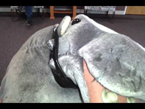 Bert the farting hippo
