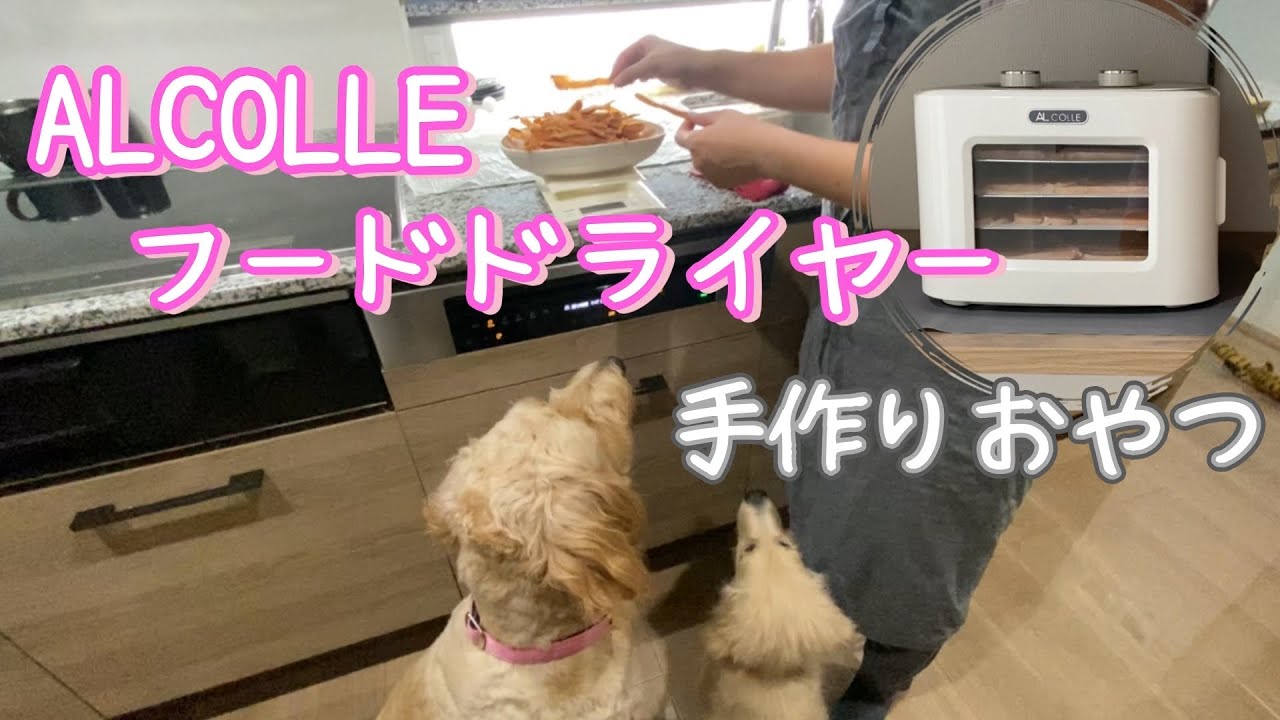 【AL COLLE フードドライヤー】愛犬の手作りおやつ　鶏ささみジャーキーを作るよ‼️