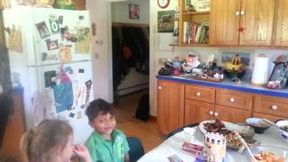 Indigo Crow Birthday Party