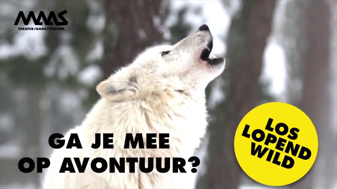 Teaser Loslopend wild - Maas theater en dans