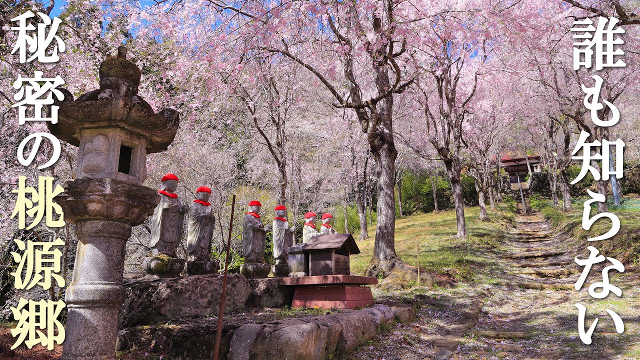 絶対に見逃してはいけない幻想的な秩父の桃源郷/観光客の知らない絶景世界/埼玉観光旅行vlog