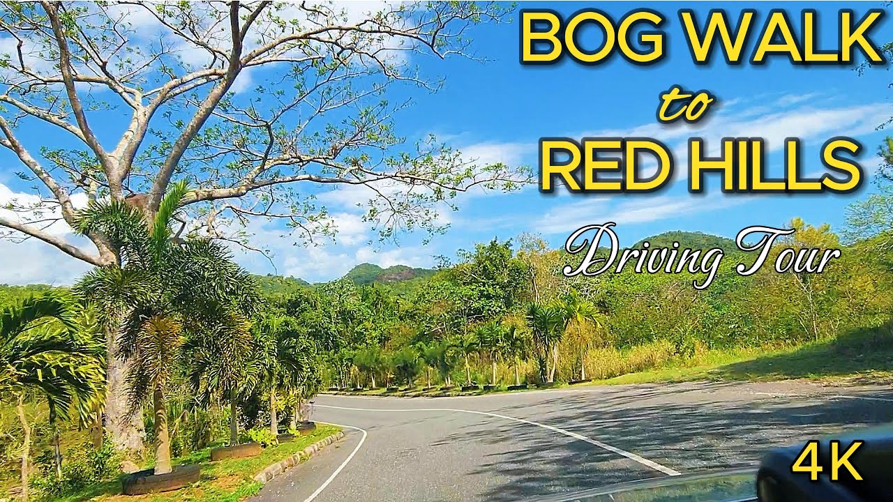 Scenic Drive from Bog Walk to Red Hills, Jamaica 🇯🇲