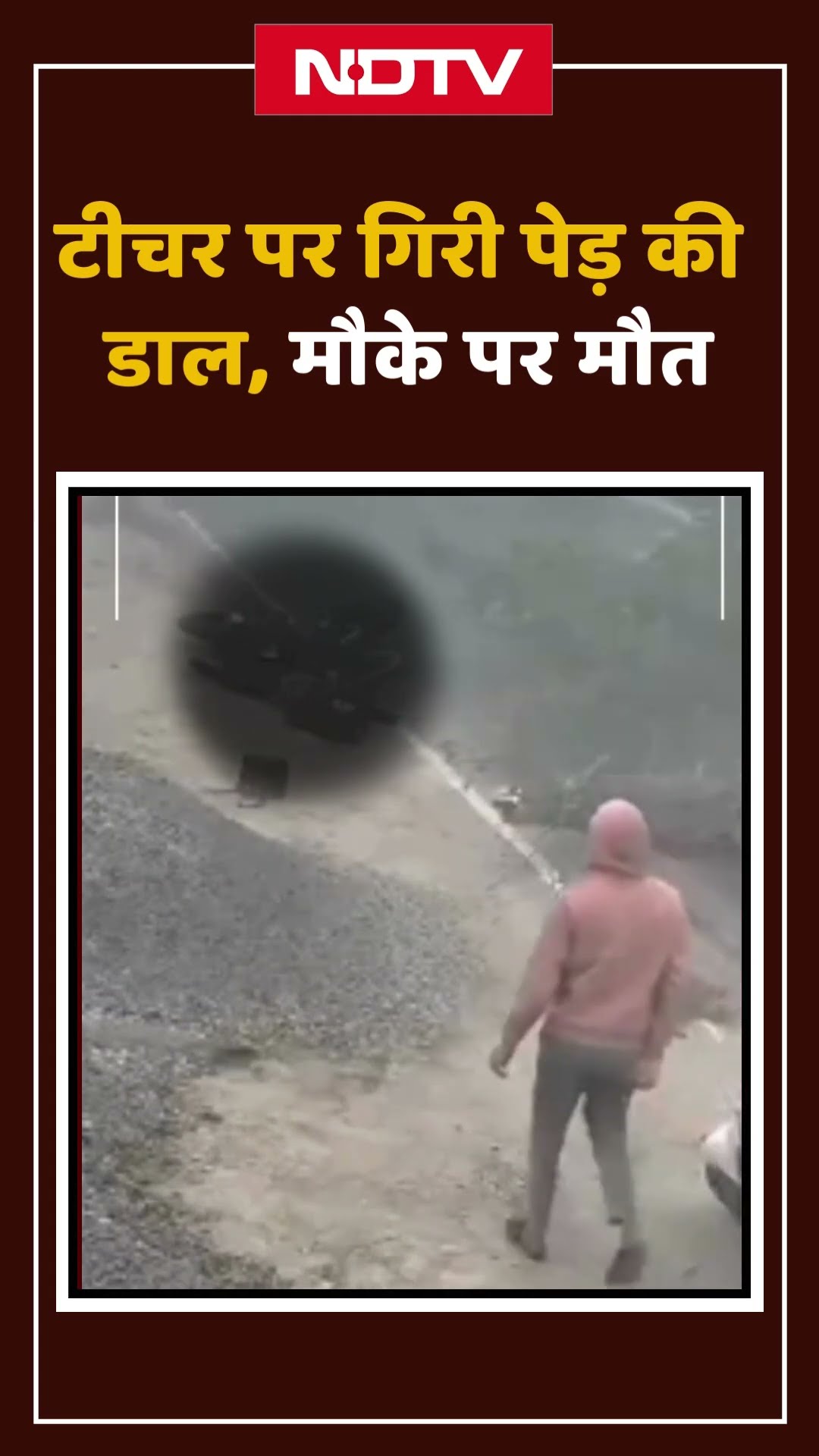 School जाते समय Bike पर गिरी पेड़ की डाल, BPSC Teacher की मौत: VIDEO | Bihar | Bihar teacher Video