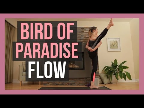 1-hour-bird-of-paradise-yoga---vinyasa-flow-for-shoulders-&-hamstrings