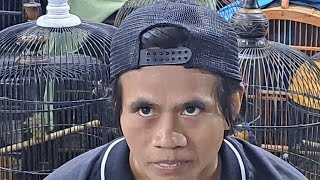 Justin hampir Sawan Celeng jual burung Mewah tapi harga pinggir sawah