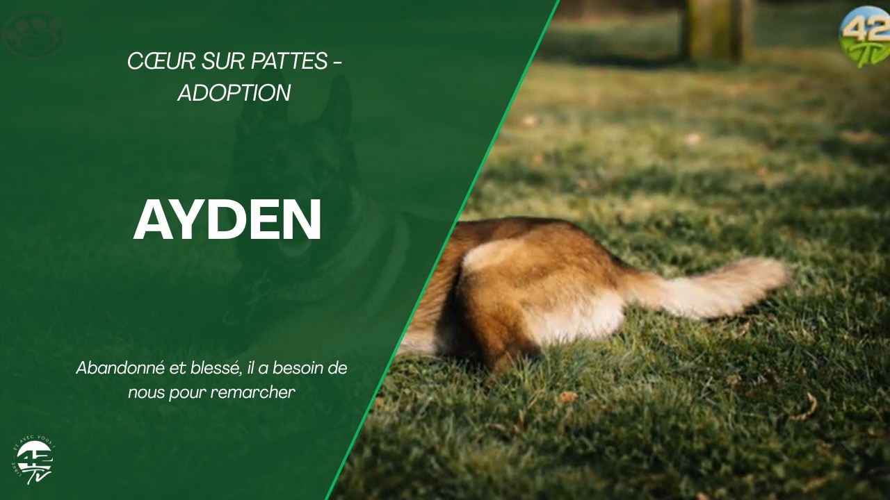 Opération Sauver Ayden