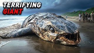 15 Terrifying Underwater Discoveries This Fishermen's FIND SHOCKED Scientists!