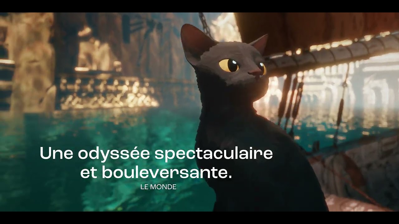 Flow | trailer | FEFFS 2024