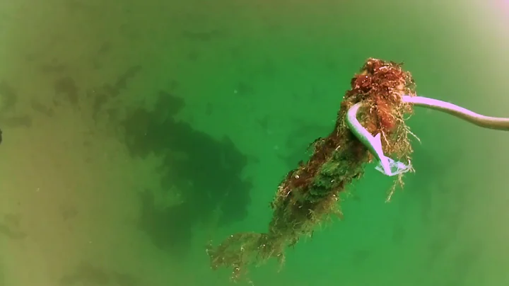 BlueROV2: Mooring Line Recovery w/ Underwater GPS