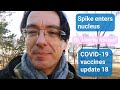 Spike protein inside nucleus enhancing DNA damage? - COVID-19 mRNA vaccines update 18