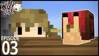 Thumbnail for Wild Life: Episode 3 - THE SNAIL.
