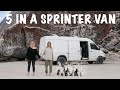 5 in a SPRINTER VAN | Van Life USA | Female Travel Couple & 3 Dogs