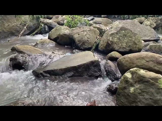 Peaceful River Flow Sounds | Relaxation & Sleep Aid with Water White Noise