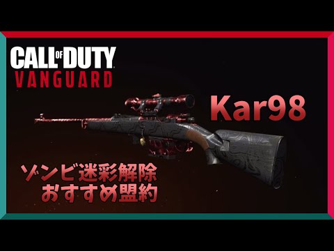 【CoD:V】Kar（スナイパー）ゾンビ迷彩解除 オススメ盟約