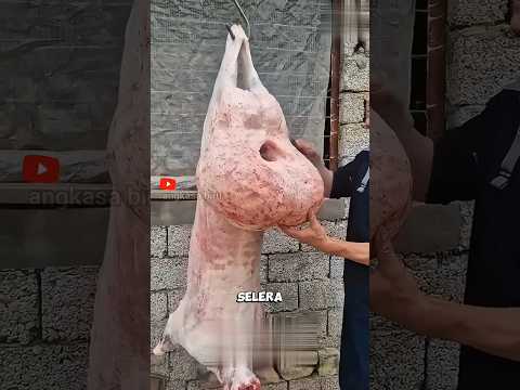 Daging Apa Ini Viral Karena Bentuknya Dagingunik Dombahisar Shortsviral