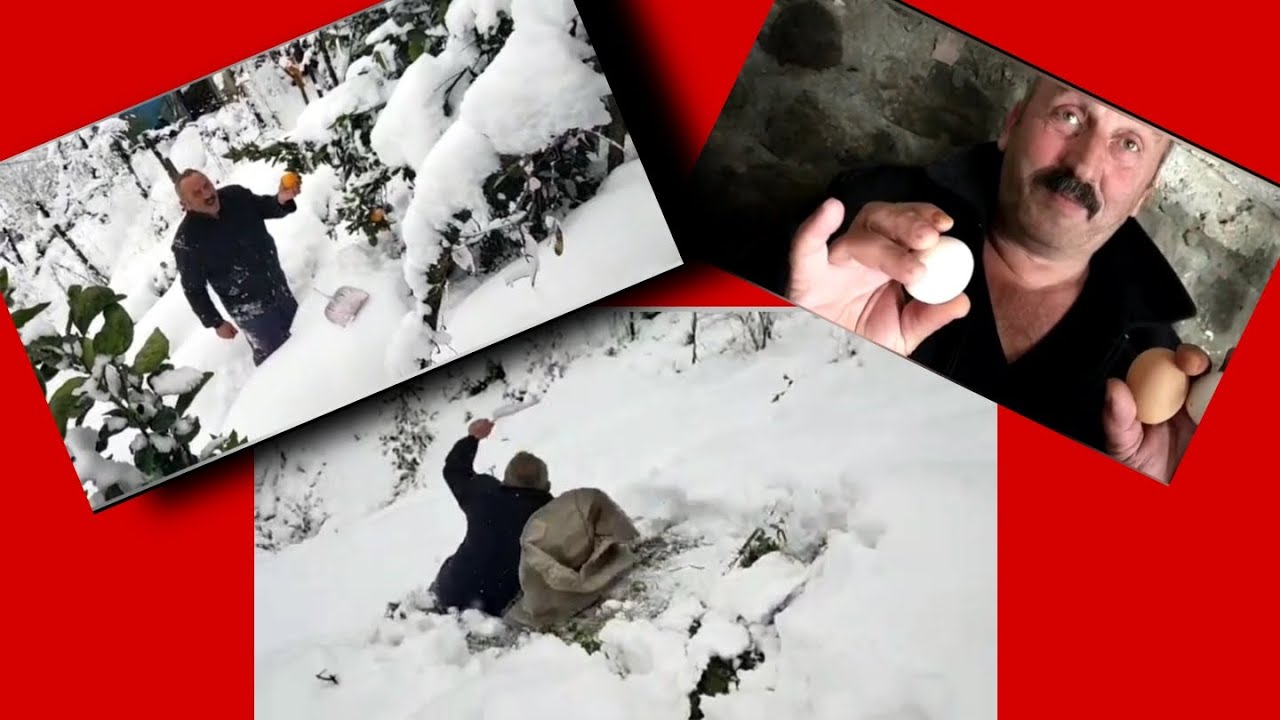 KAR ALTINDA LAHANA ARAMAK/YİRMAĞA GİDİYRUM /TAVUKLARA SESLENDİRME YAPTIK 😀