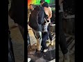 【緊急】泥酔美女#連行中#酔っぱらい#お笑い#viral#funnyfails#tiktok #tiktokvideo #youtube#shorts#おすすめ#Twitter#爆笑#海外