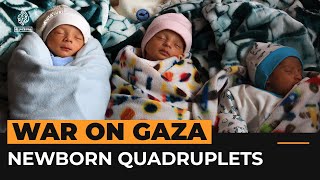 Displaced Palestinian mother in Gaza gives birth to quadruplets | Al Jazeera Newsfeed