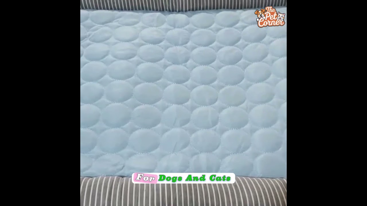 No More Tangled Walks! 🐶✨ Must-Have Multifunctional Dog Leash for Every Pet Owner! 