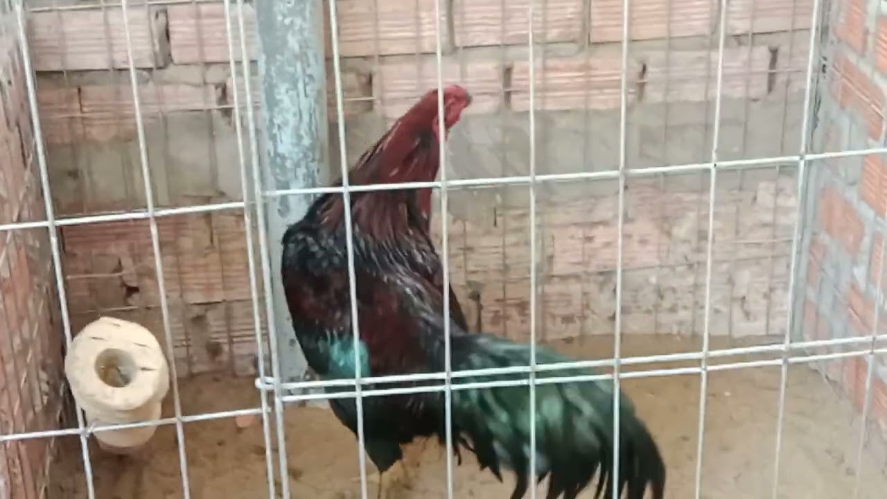 09187 oai 75934 ngày 7 tháng 3 năm 2026