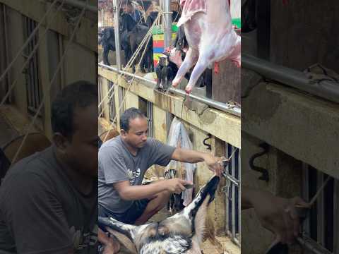 Super fast! Goat Meat processing in the Market  #reels #shorts #foodie