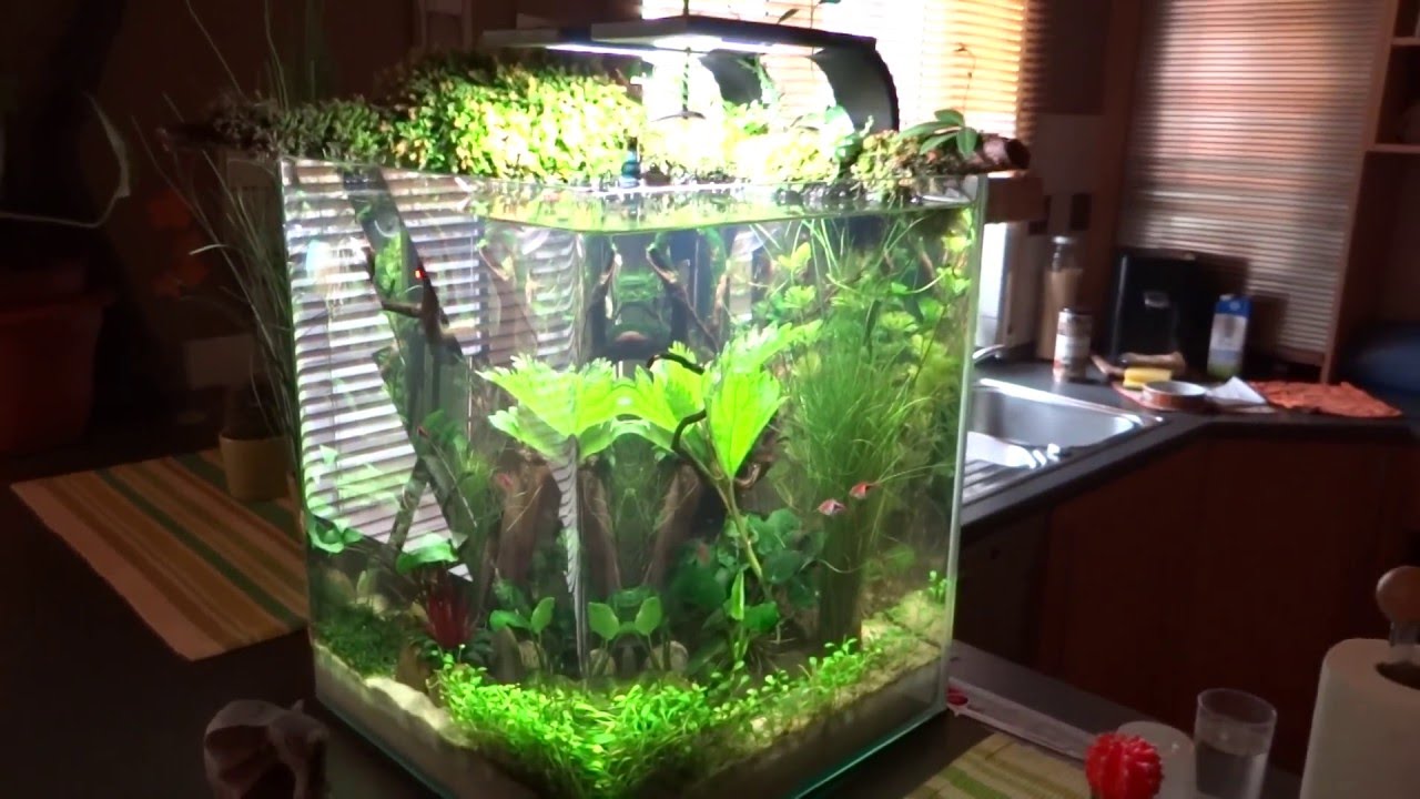 Dennerle 30 Liter Nano