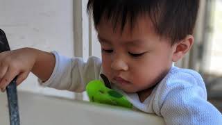 Discovery Parent Child Preschool Tour