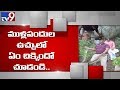 Python caught in trap laid for pigs in Mahboobnagar