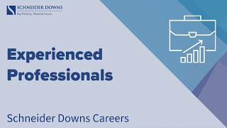 Schneider Downs Careers - Experienced Professionals