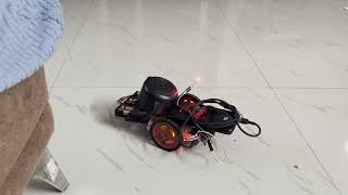 Hobbyist Builds AI Robot with a small Budget