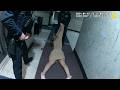 Drunk Girl Goes From 0 To 1000 REAL FAST