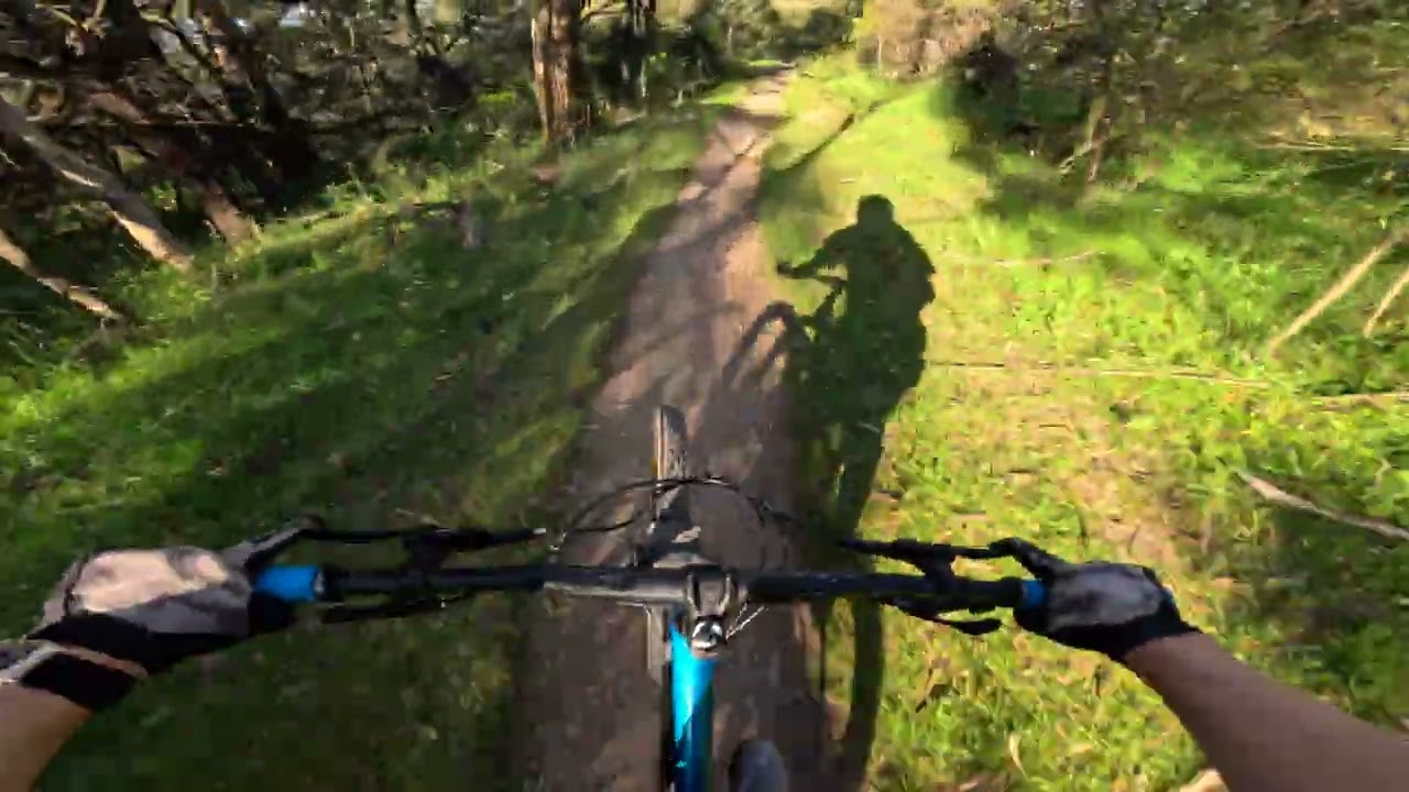 State MTB Track DH Section | Lysterfield MTB