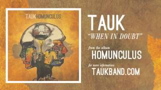 Video thumbnail of "TAUK - When In Doubt (Official Audio)"