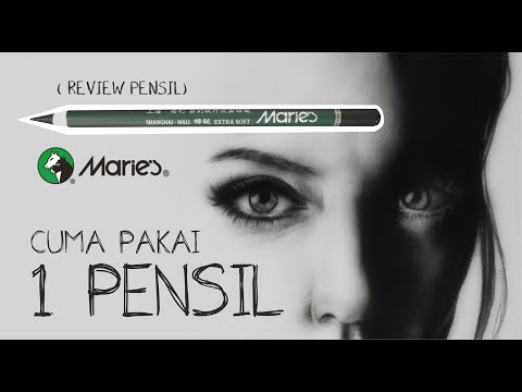 Review Pensil Warna Derwent Lightfast. 