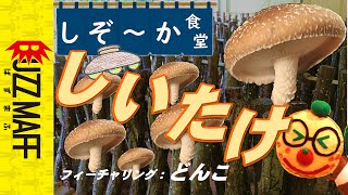 しぞ～かは原木しいたけ発祥の地！　江戸時代から栽培している「しいたけ」の魅力とレシピをを紹介します。　しぞ～か食堂#14