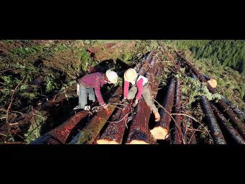 LOGGING/ RIGGING One of the hardest jobs in the world??? MOTIVATIONAL  WORK ETHIC.