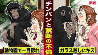 【実話】チンパンジーと禁断の不倫。動物園で一目惚れし...ガラス越しに熱いキスを交わす。