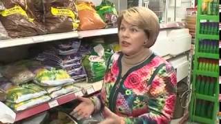 Выбираем грунты для посева семян на рассаду. Проблем нет!