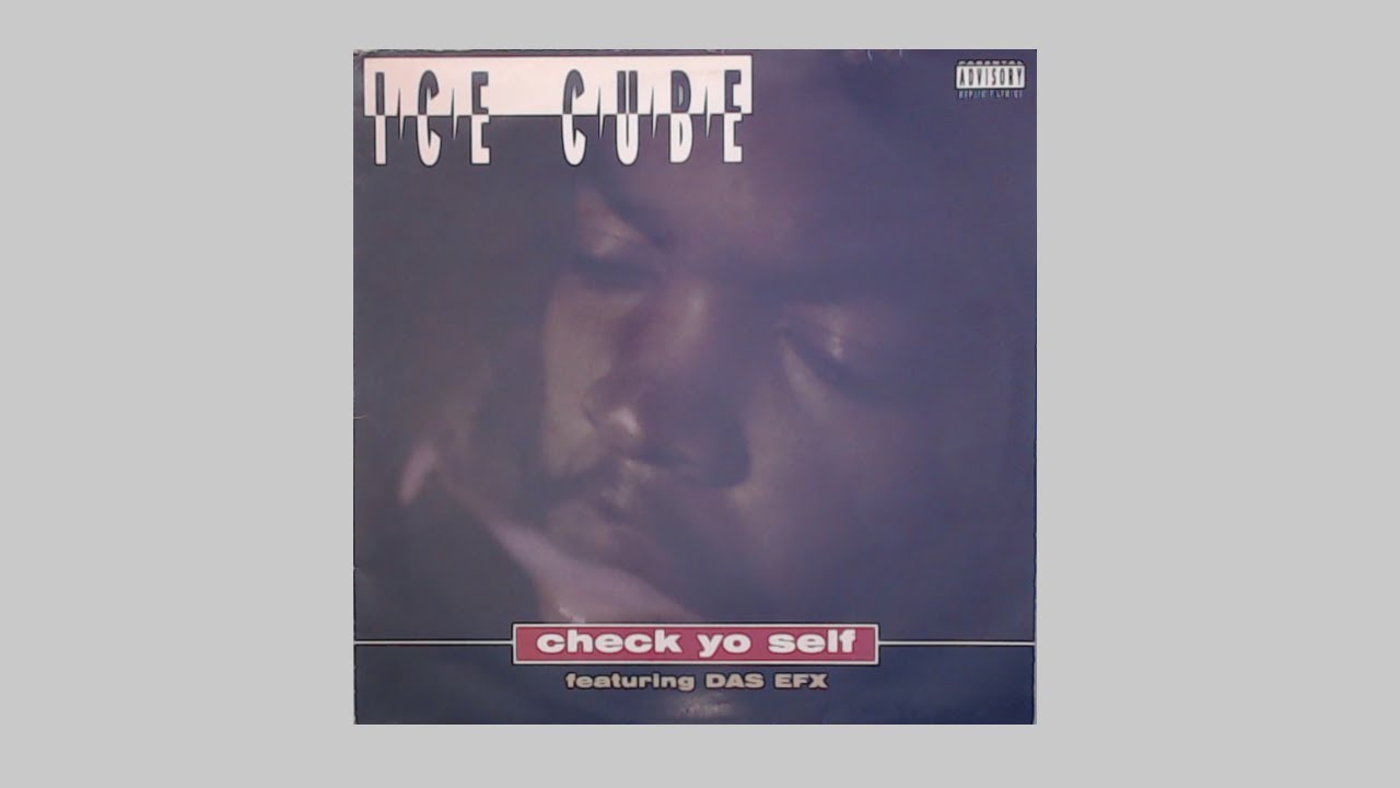 Ice Cube | Das EFX - Check Yo Self (Radio Remix 