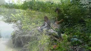 MANCING AMBYAR - FISHING MANIA - MANCING CANTIK - MANCING CANTIK GAGAL FOKUS