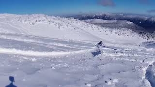 Humble Ski Crashes