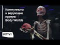 Почему в России потребовали запретить выставку Body Worlds?