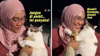 Gemes Banget! Bonekanya Diambil Orang, Kucing Lucu Ini Ngambek & Ngadu ke Majikan! Kucing Yoyo Lucu