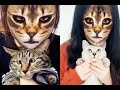 これらの猫は、この猫の顔フィルターに反応する方法を知りません 2