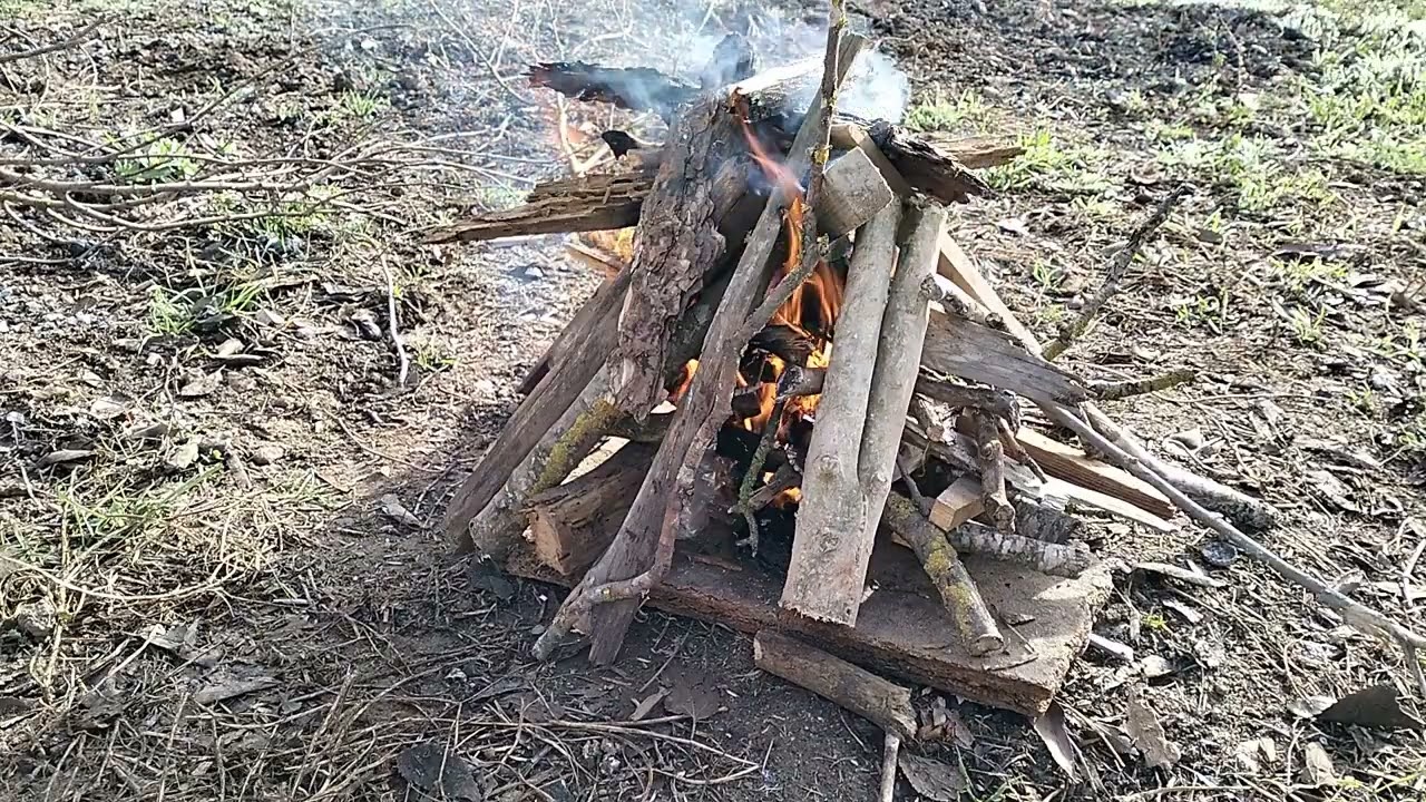 FOGUERES A L'ALTA SEGARRA
