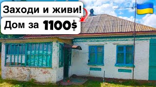 🇺🇦 Заходи и живи! Дом в селе за 1100$ Продажа недвижимости за копейки! Всё есть Уютное тихое село!