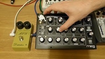 Moog Minitaur & MXR Distortion+ CSP104
