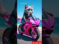 مياو بتسوق موتوسيكل والنهايه مفاجأة Cats Kitten Cat Shorts Short Shortvideo Fyp Funny Ai